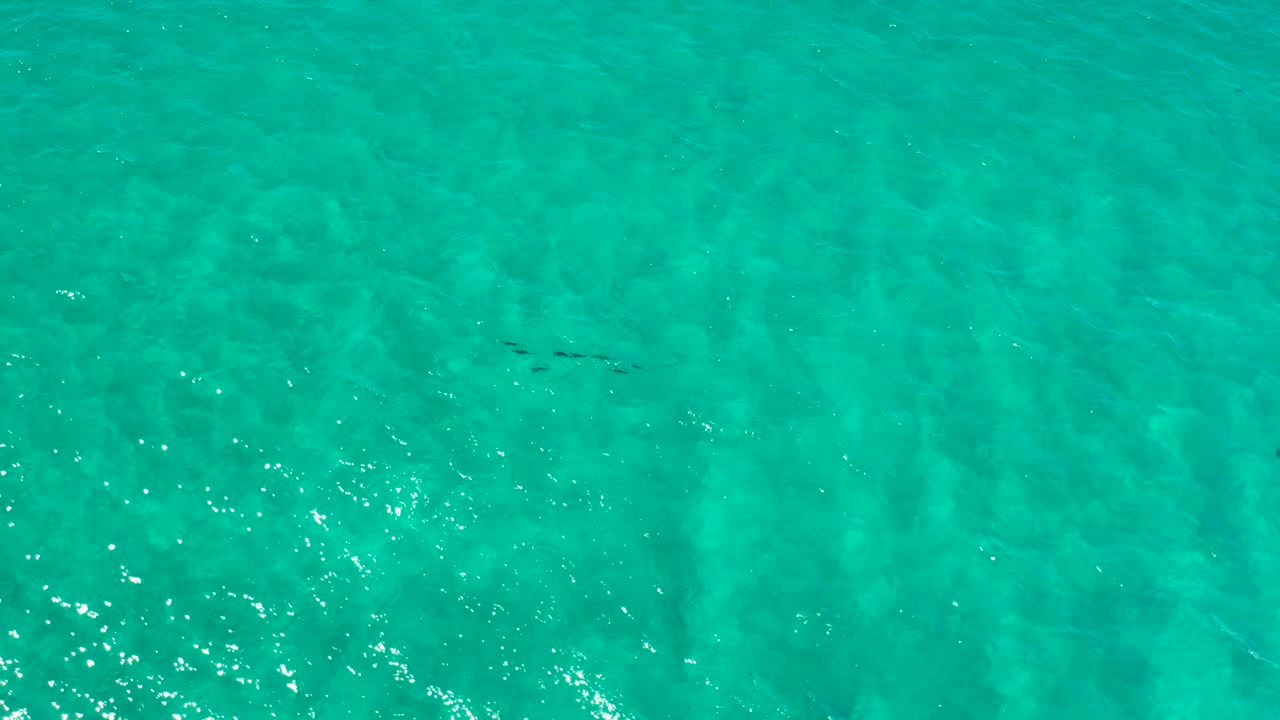 Overhead green-blue water with small ripples and bright reflections.