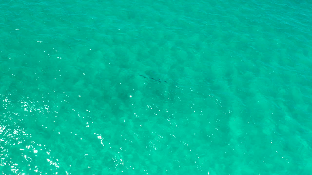 Overhead view of turquoise ocean water with small ripples.