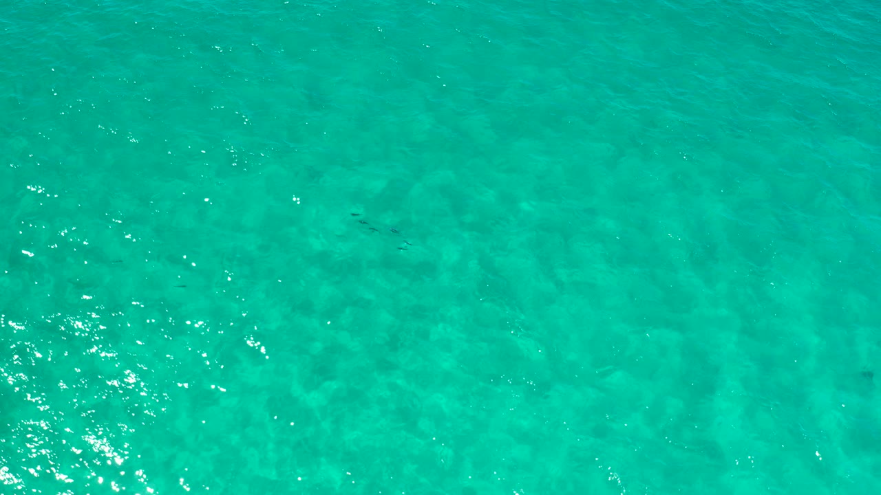 Overhead view of turquoise sea in Los Cabos, Mexico, with soft underwater patterns, scattered surface sparkle, and no visible people.
