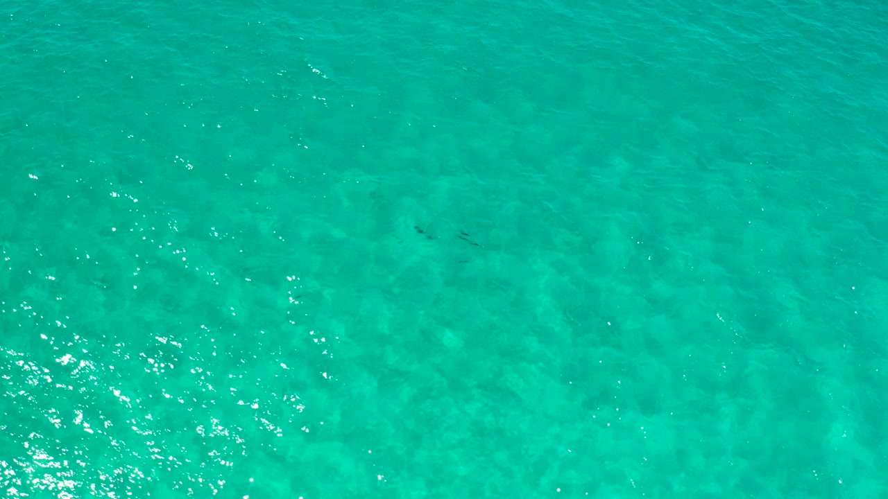 Overhead Los Cabos sea frame with soft turquoise color, clustered white sparkles on the water, and no visible people or boats.