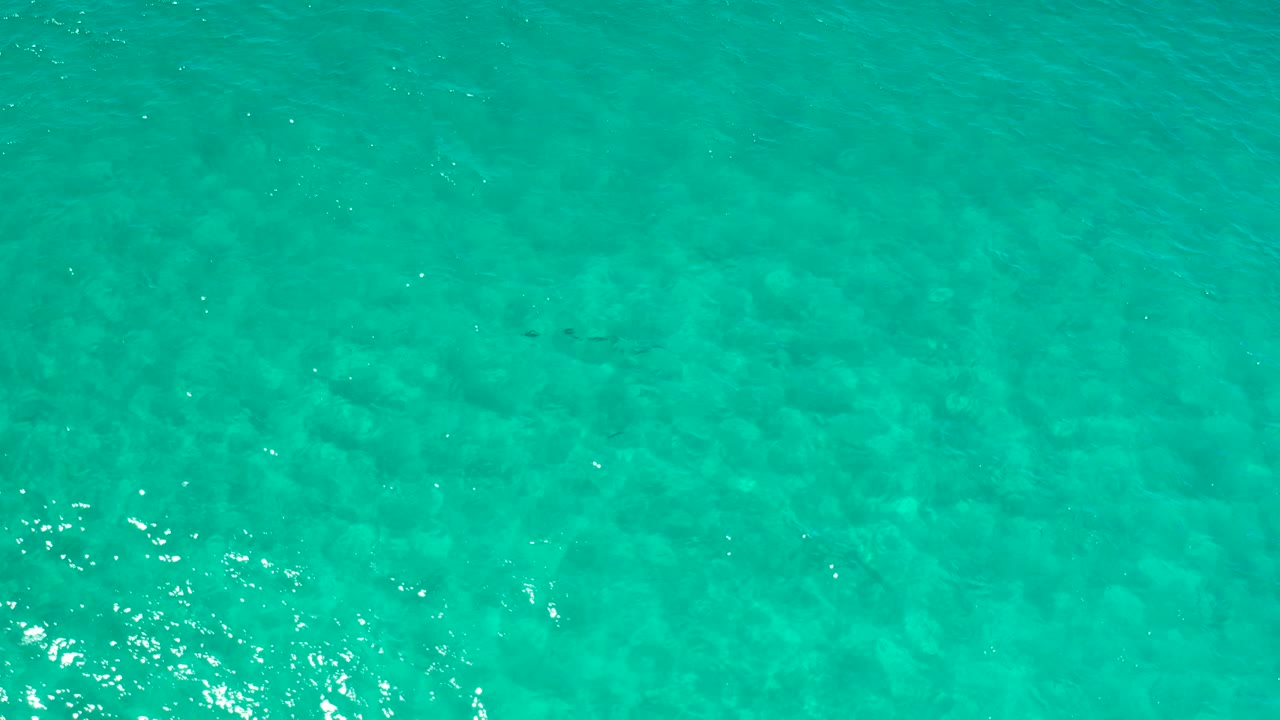 Bright turquoise sea surface in Los Cabos, Mexico, with small white highlights across the water and no visible people.