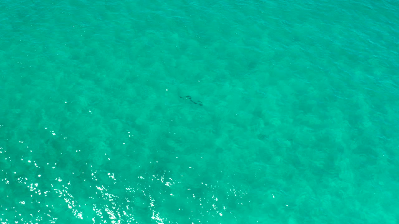 Overhead view of turquoise-green ocean water in Los Cabos, Mexico, with soft ripples, faint darker underwater areas, and no visible people.