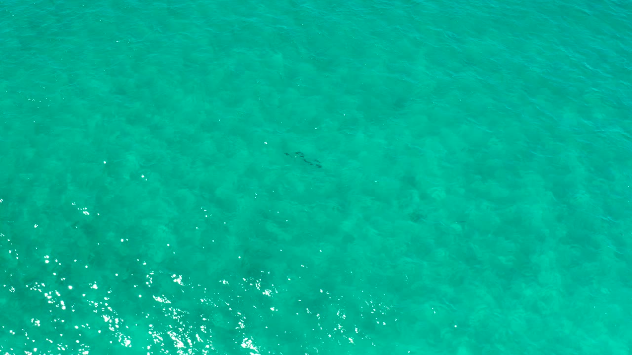 Clear green water with small bright reflections.