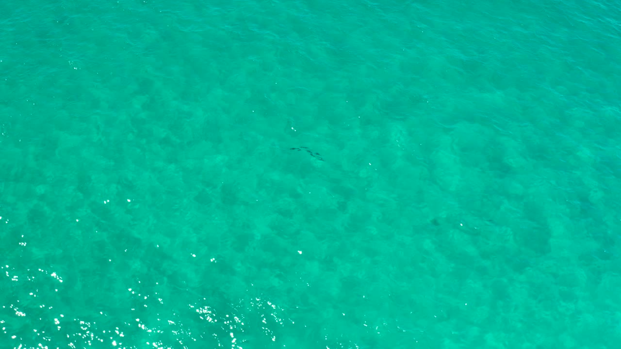 Top-down Los Cabos ocean view showing turquoise water, slight wave texture, and scattered darker shapes under the surface with no visible people.