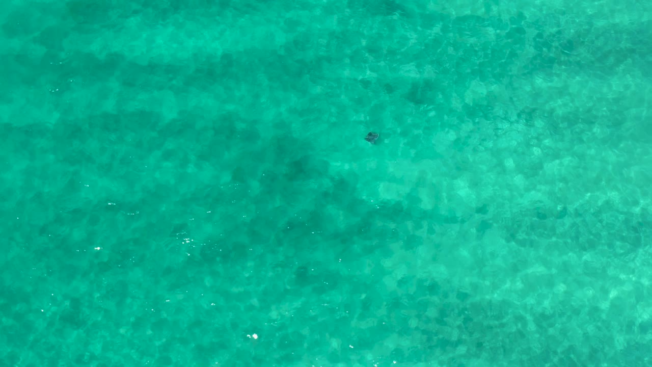 Overhead Los Cabos water view with green-blue color, mottled pale bottom texture, scattered white surface specks, and no visible people.