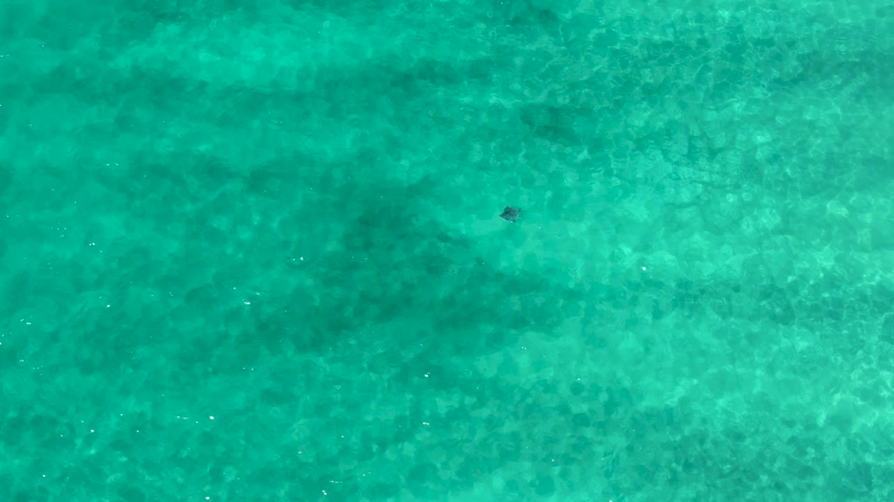 Aerial Los Cabos ocean frame showing turquoise water, darker submerged patches toward the upper and right areas, fine surface flecks, and no visible people.
