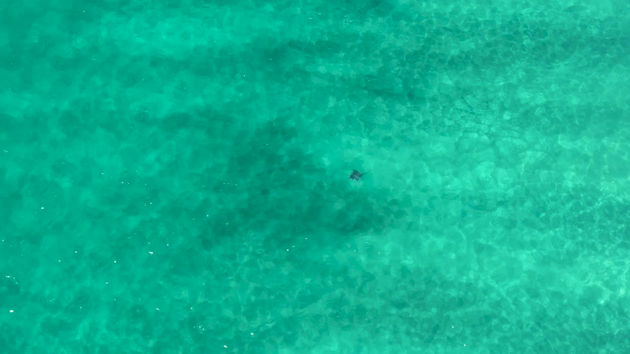 Direct overhead Los Cabos ocean view with clear teal water, pale mottled sea floor texture, small bright flecks on the surface, and no visible people.
