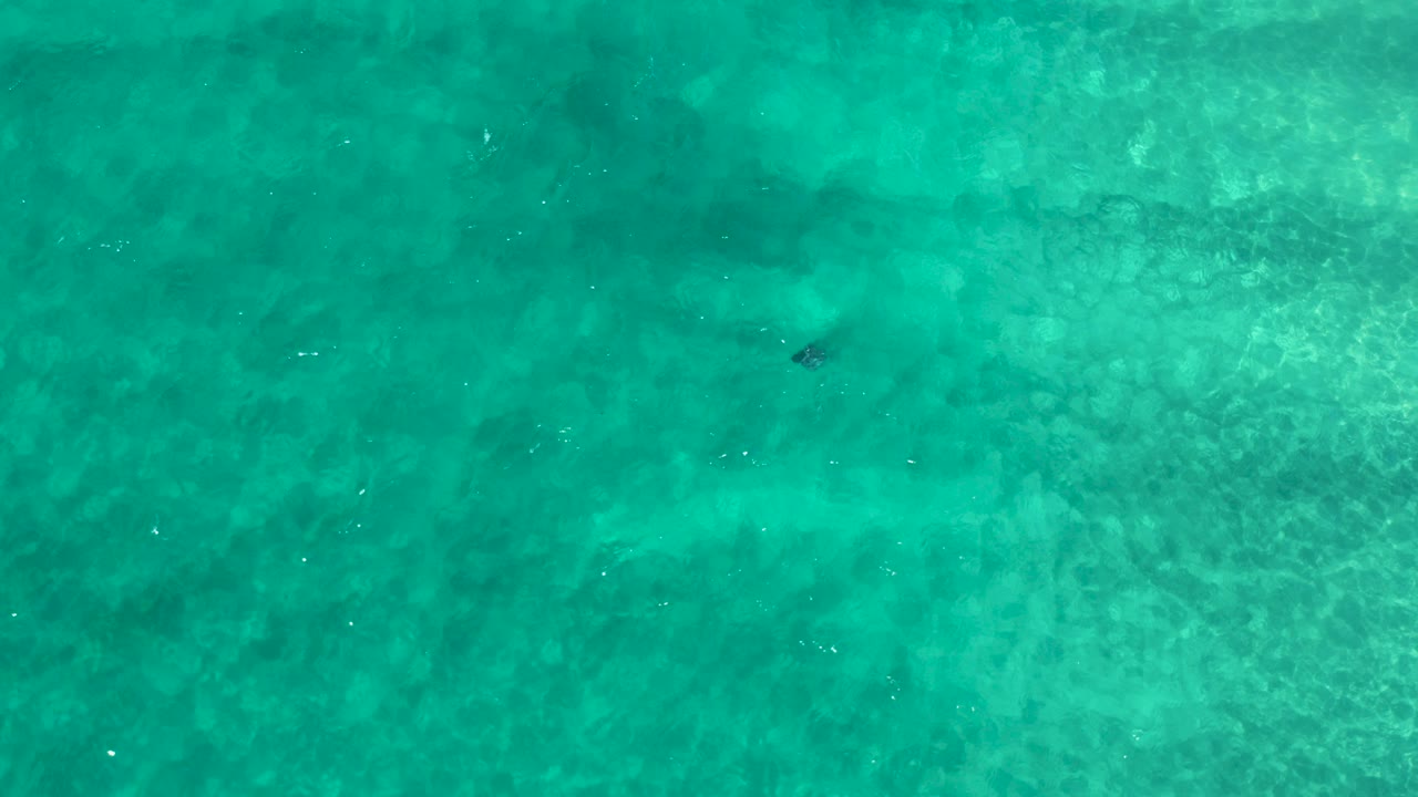 Overhead view of green-turquoise ocean water in Los Cabos, Mexico, with faint darker patches below the surface and no visible people.
