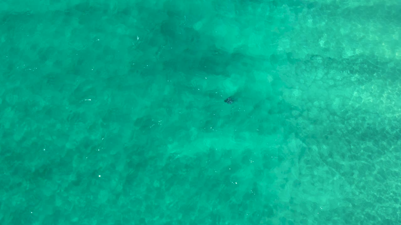 Green-tinted ocean surface in Los Cabos, Mexico, with mottled underwater texture, tiny highlights, and no visible people.
