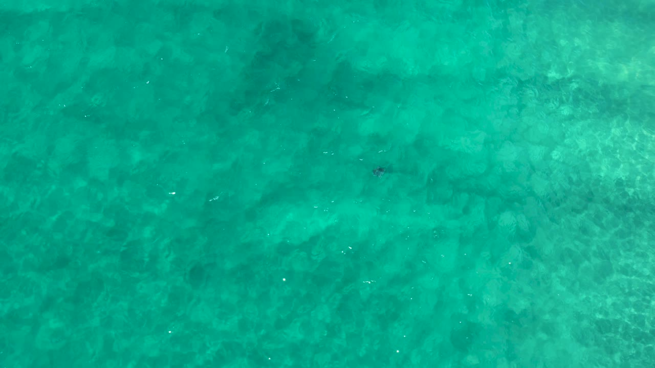 Overhead Los Cabos ocean water with pale wave lines, scattered dark flecks beneath or on the surface, and no visible people.