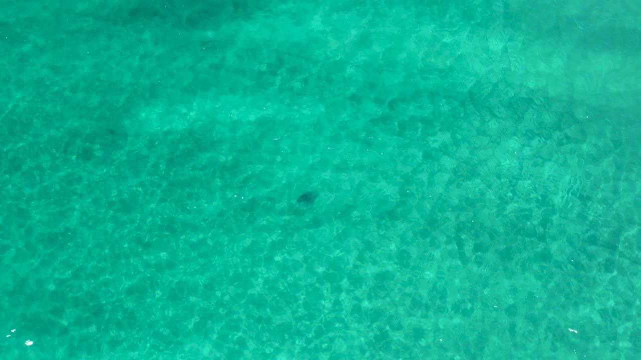 Overhead view of turquoise Pacific water in Los Cabos, Mexico, with soft sunlight ripples and no visible people.