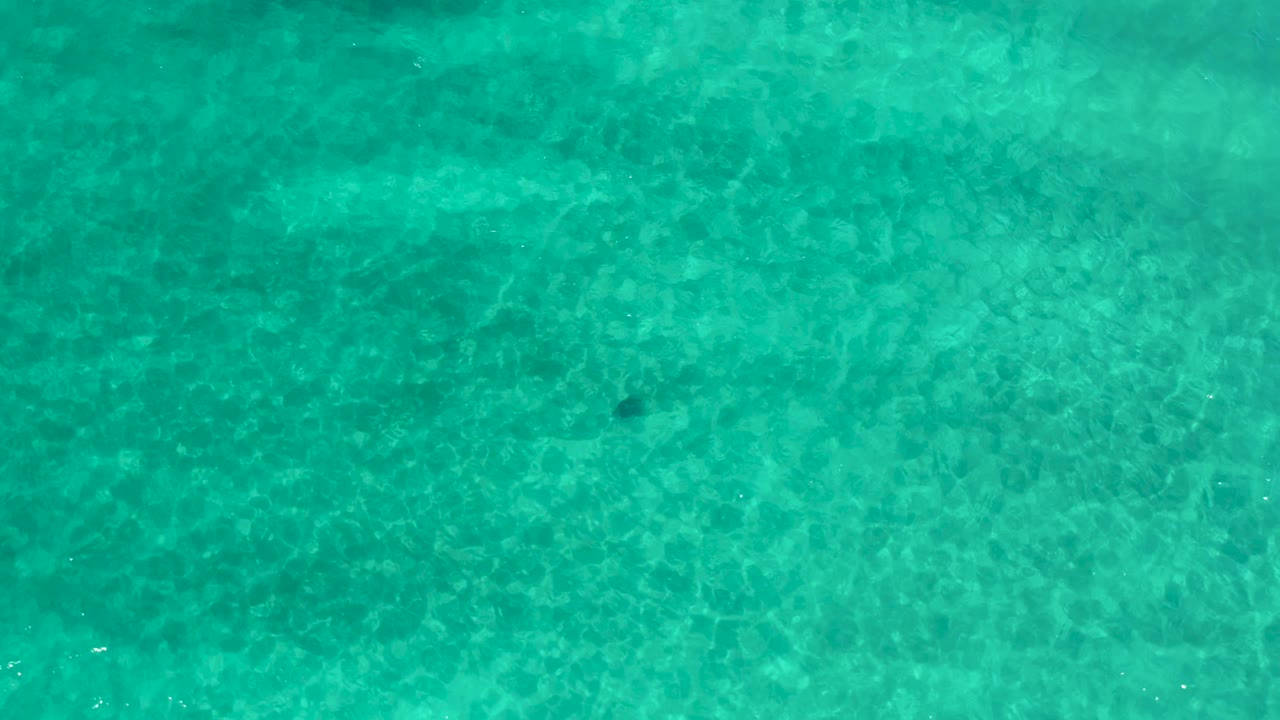 A top-down aerial frame shows shallow-looking turquoise water, faint darker areas beneath the surface, and no visible people.