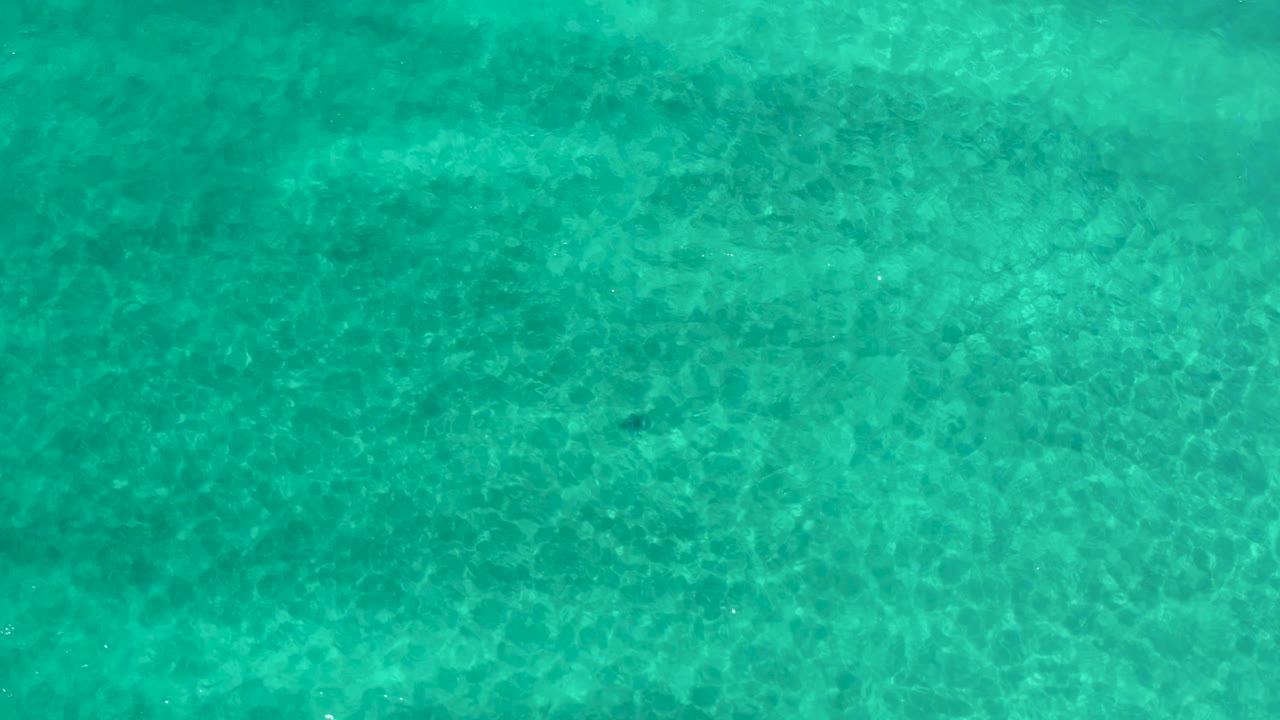 Pacific water surface with soft wave texture