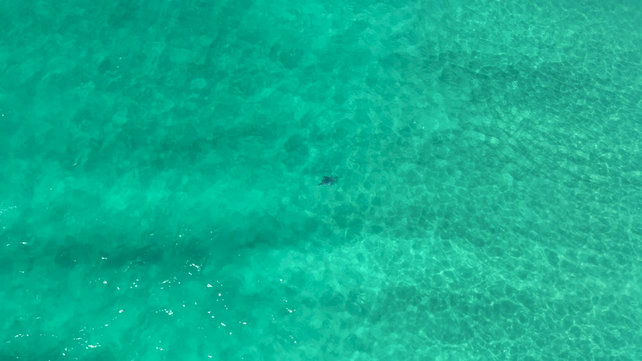 Overhead Los Cabos ocean water fills the frame with turquoise color, soft surface ripples, darker seabed patches, and no visible people.