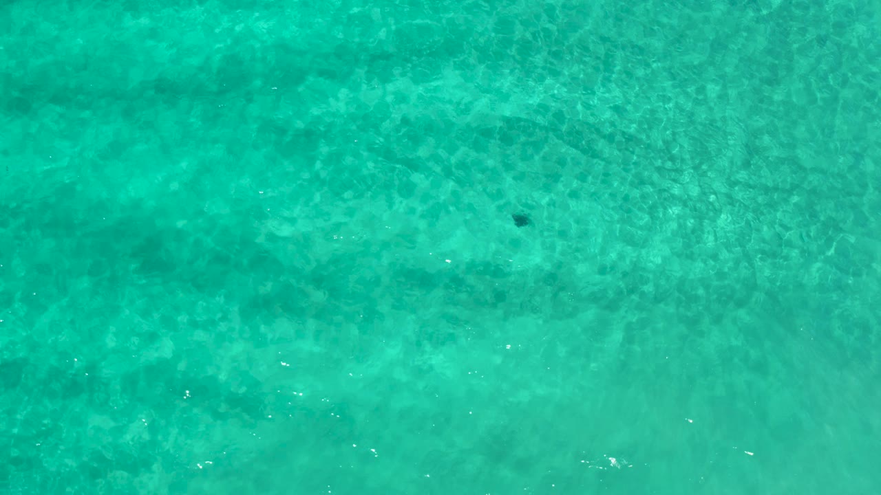 Turquoise water with a small dark object on the ocean floor.