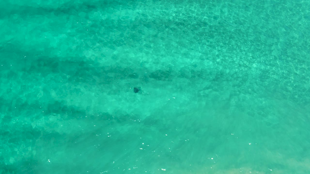 Overhead view of clear turquoise water in Los Cabos, Mexico, with darker reef-like bands near the top and a tiny dark floating object, no visible people.