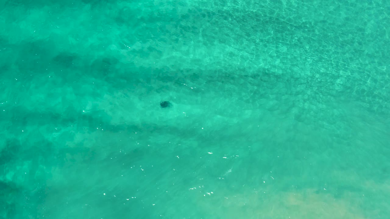 Overhead Los Cabos water frame with green-blue shallows, pale sand visible under the surface, darker horizontal bands, and a tiny dark floating object, no visible people.