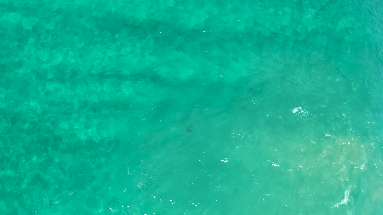 Overhead view of turquoise ocean in Los Cabos, Mexico, with pale sandy areas, darker seabed texture, small surface ripples, and no visible people.