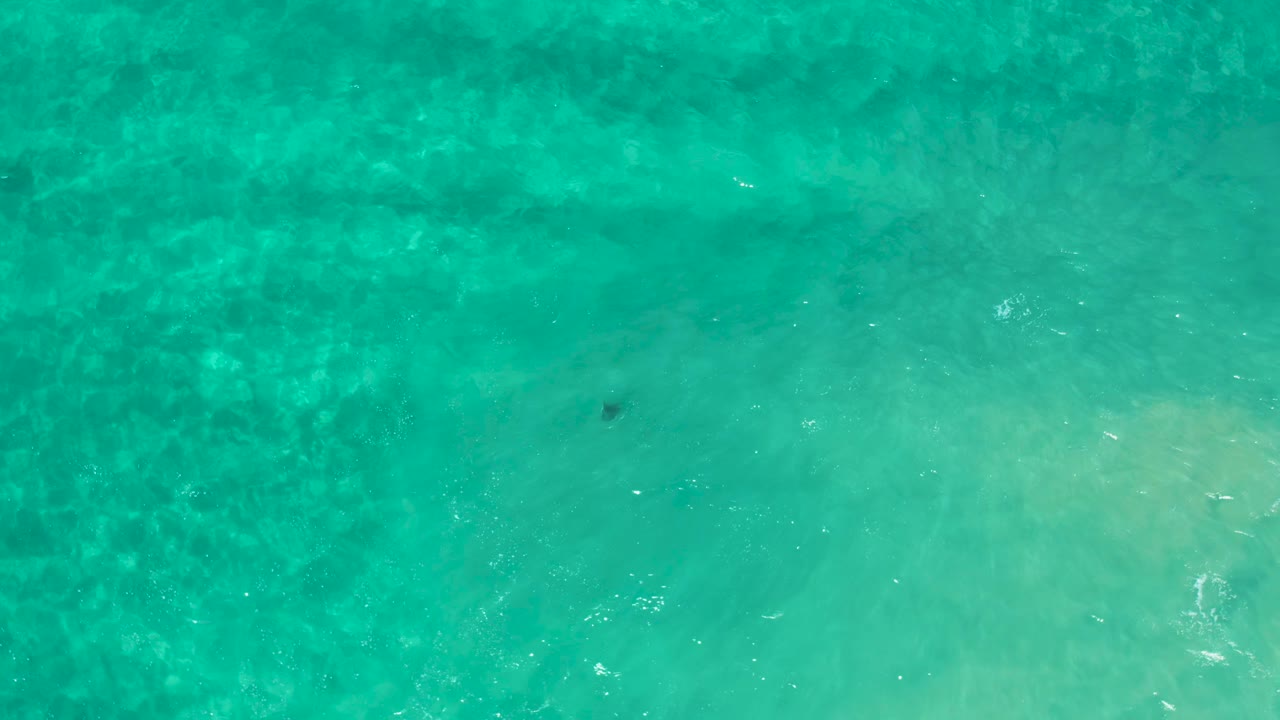 Overhead Los Cabos ocean frame with mottled dark underwater texture, pale green sandy zones, faint white surface disturbance, and no visible people.