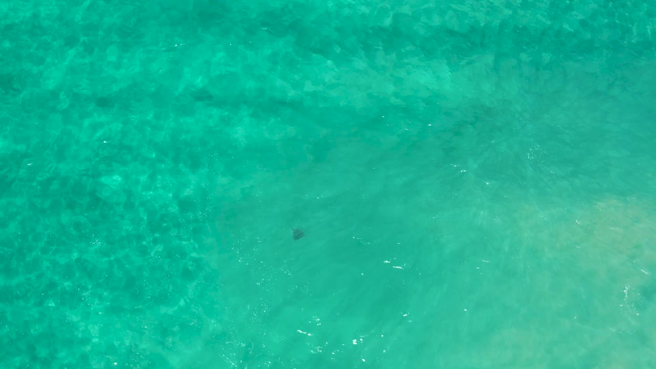 Overhead view in Los Cabos with turquoise shallow water, a small dark possible stingray shape below the surface near the lower left, and no visible people.