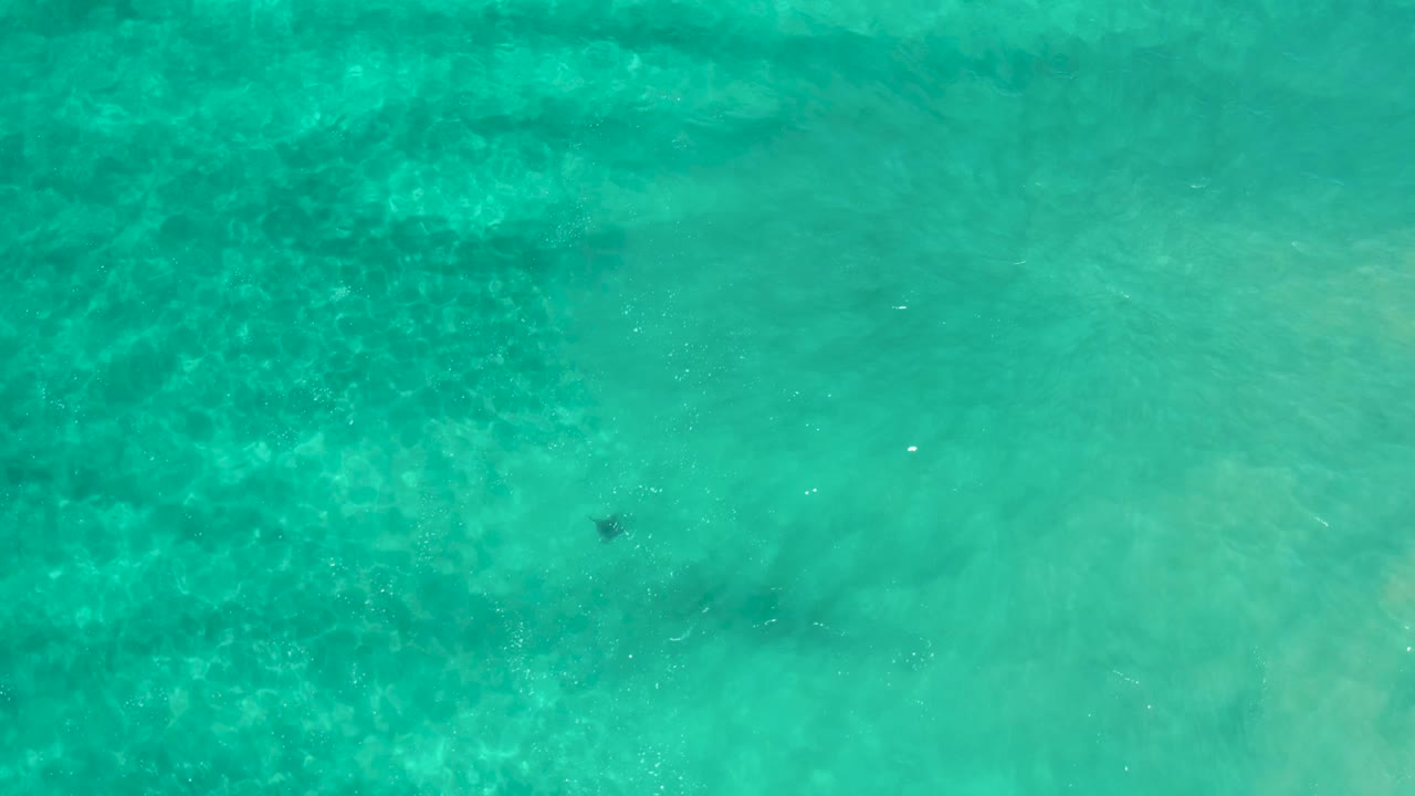 Green-tinted ocean water fills the frame in Los Cabos, Mexico, with a pale sandy bottom and scattered darker submerged areas, no visible people.