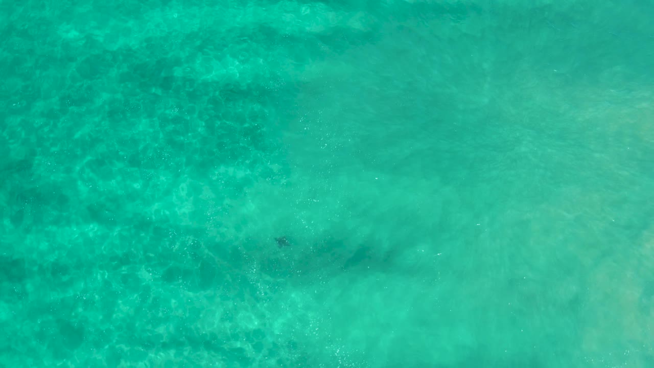 Overhead frame of clear green water above the sea floor in Los Cabos, Mexico, with darker mottled texture concentrated toward one side and no visible people.