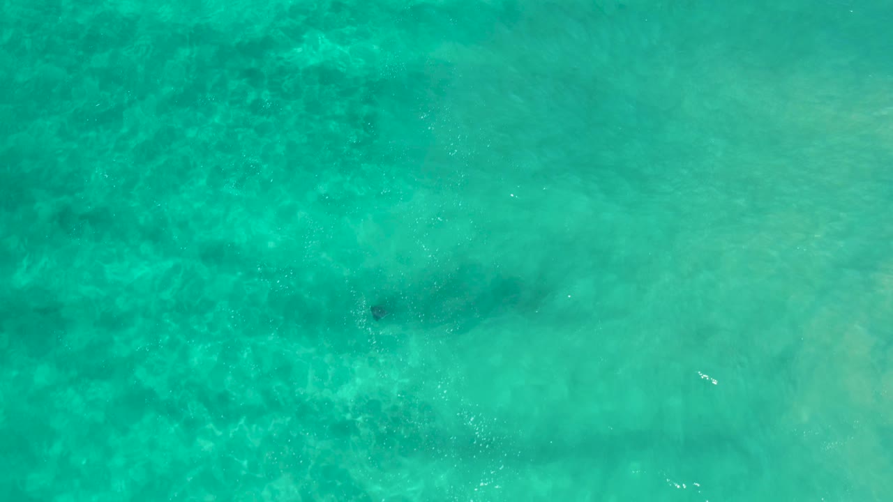 Turquoise water with a faint sandy band