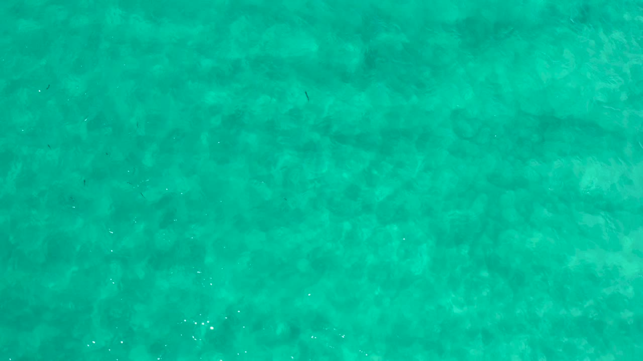 Overhead view of turquoise seawater in Los Cabos with soft underwater texture, faint tiny fish shapes, and no visible people.