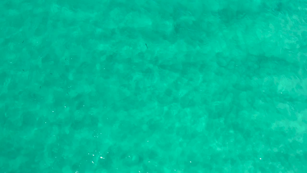 Green-blue seawater fills the frame in Los Cabos, with subtle ripples, scattered tiny fish shapes, and no visible people.