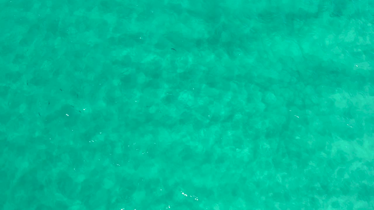 Overhead Los Cabos water appears brighter here, with pale subsurface patches, small fish-like dark marks, and no visible people.