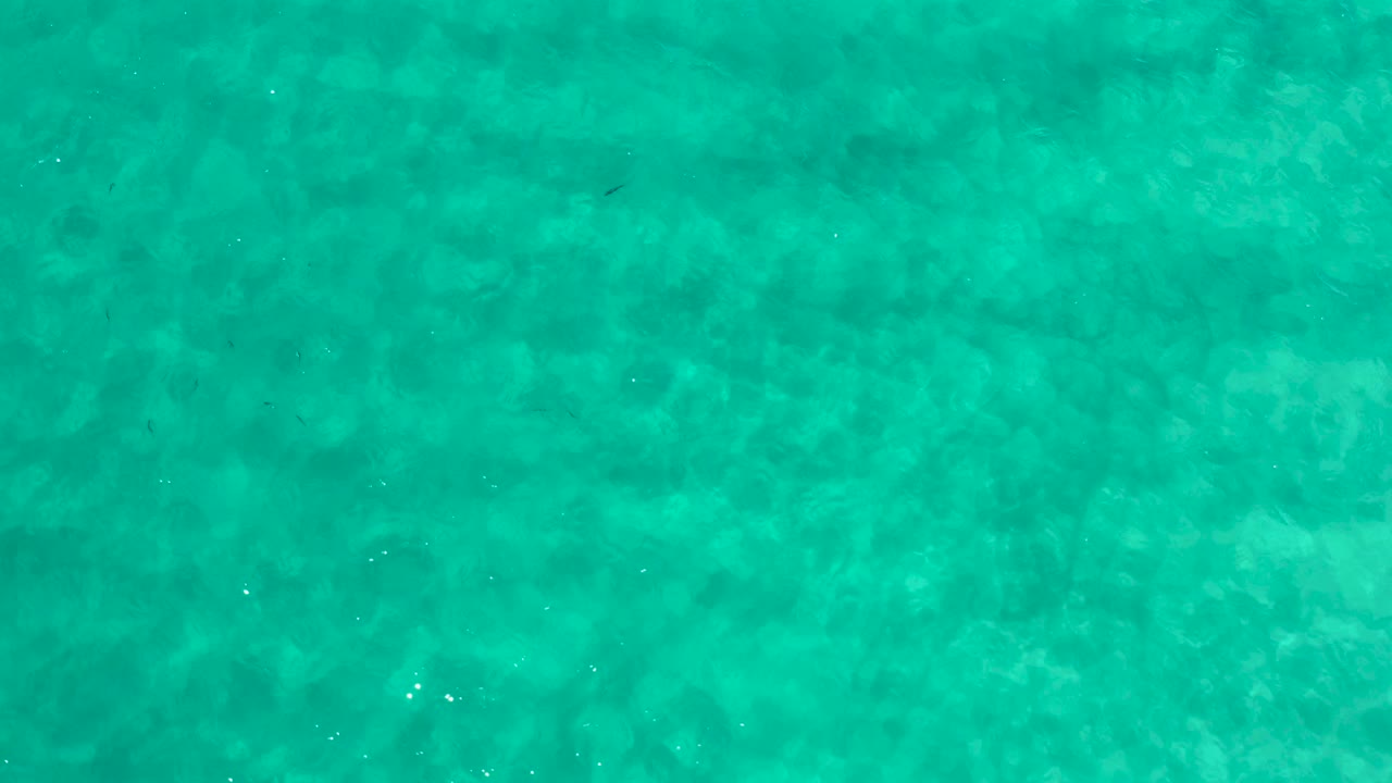 Los Cabos seawater remains fully abstract in this frame, with faint ripples, darker fish shapes, and no visible people or built structures.