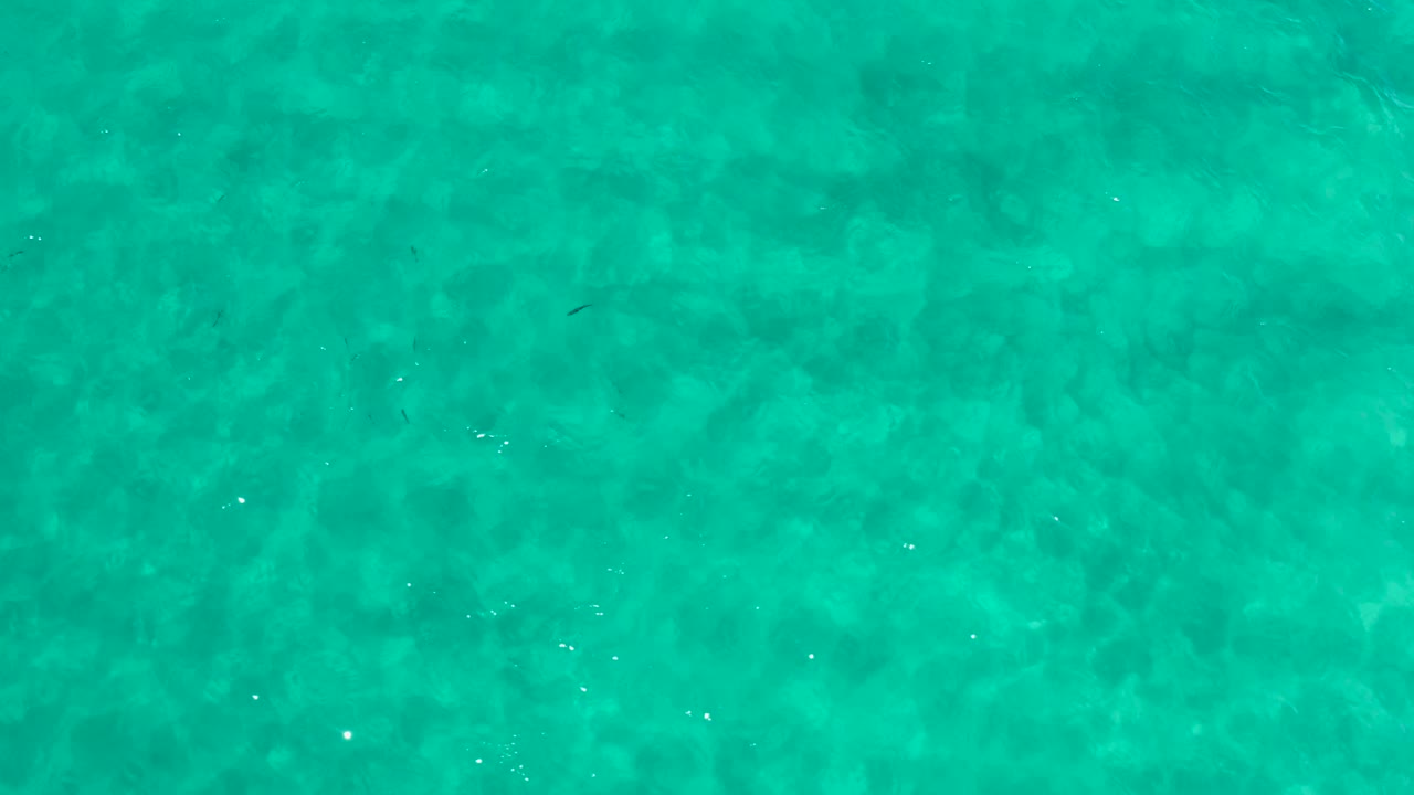 Blue-green ocean water fills the second moment, with soft mottled texture under the surface and no visible people.