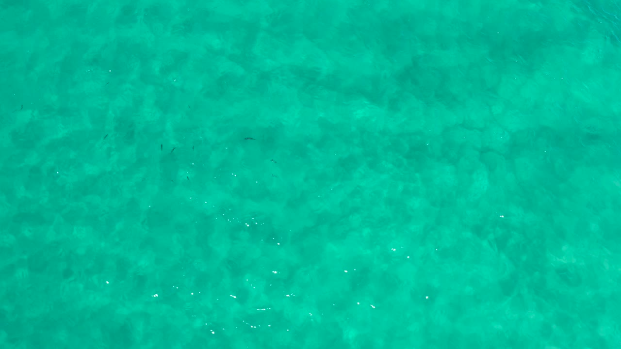 Top-down calm turquoise water continues in Los Cabos, Mexico, with a few small bright flecks on the rippled surface and no visible people.