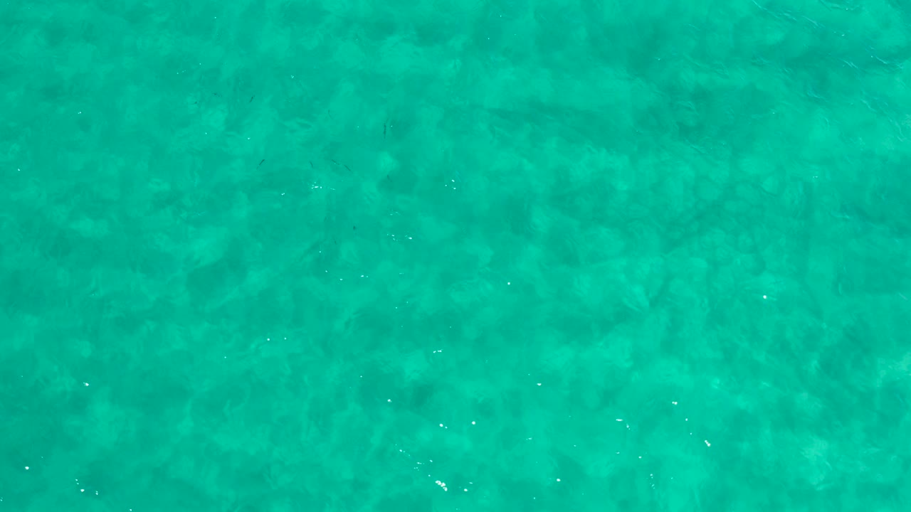 Overhead view of green seawater in Los Cabos, Mexico, with mottled darker underwater areas and no visible people.