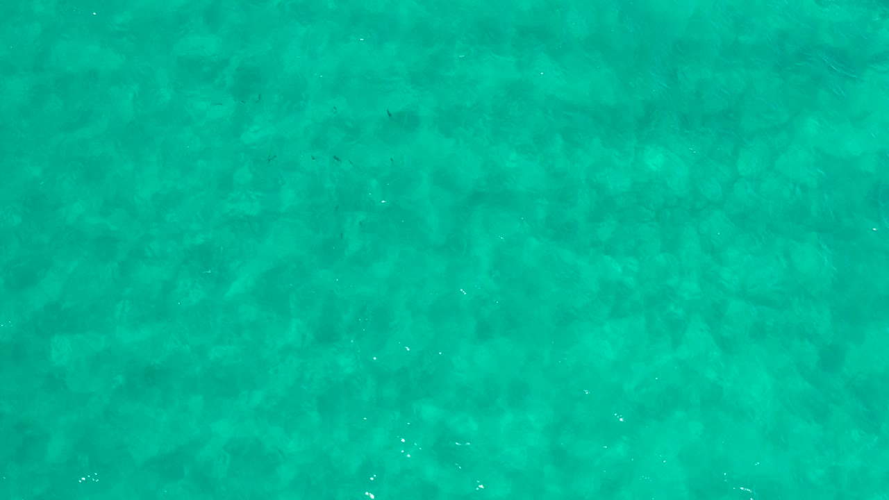 Green ocean water in Los Cabos, Mexico, shows soft submerged patterning across the frame with no visible people or shoreline.