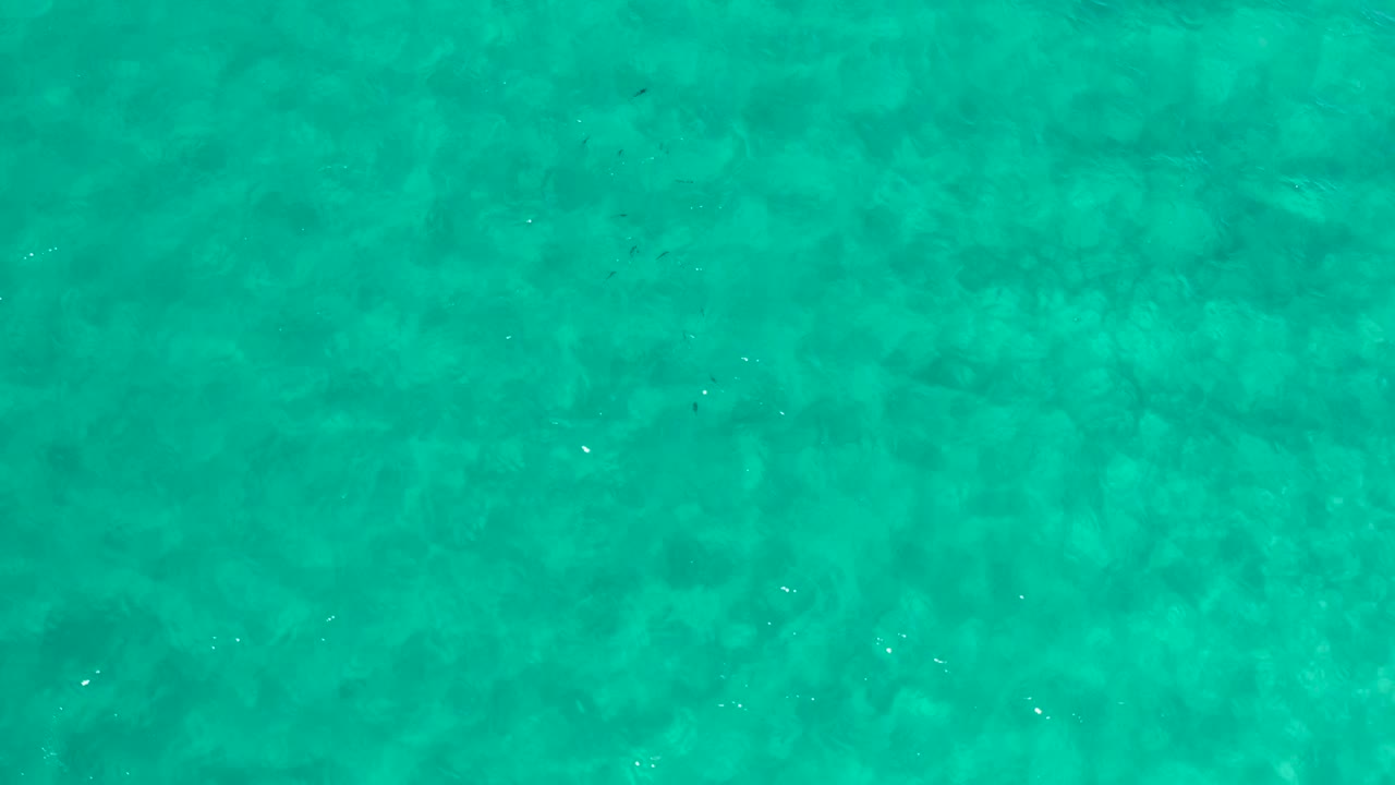 Direct overhead view of sunlit turquoise sea in Los Cabos, Mexico, with subtle white flecks on the surface and no visible people.