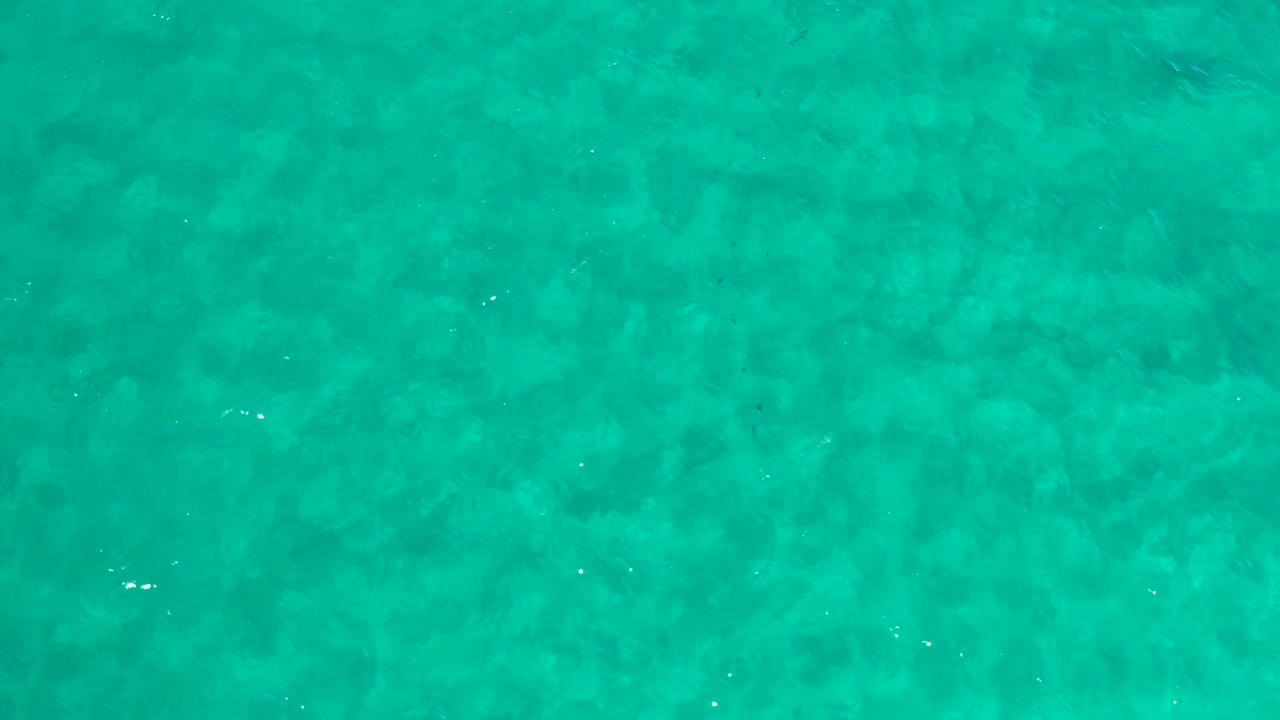 Overhead frame of clear shallow ocean water in Los Cabos, Mexico, showing mottled seabed color and no visible people.
