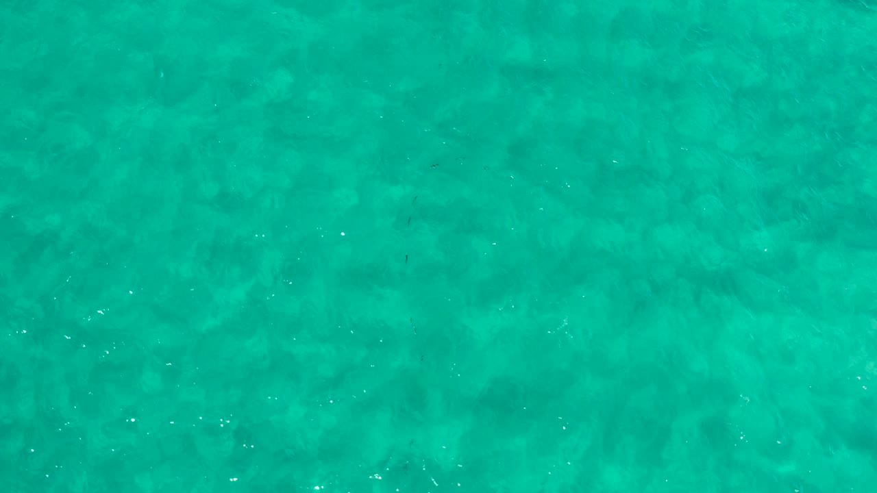Overhead turquoise ocean water with faint darker patches and surface sparkle.