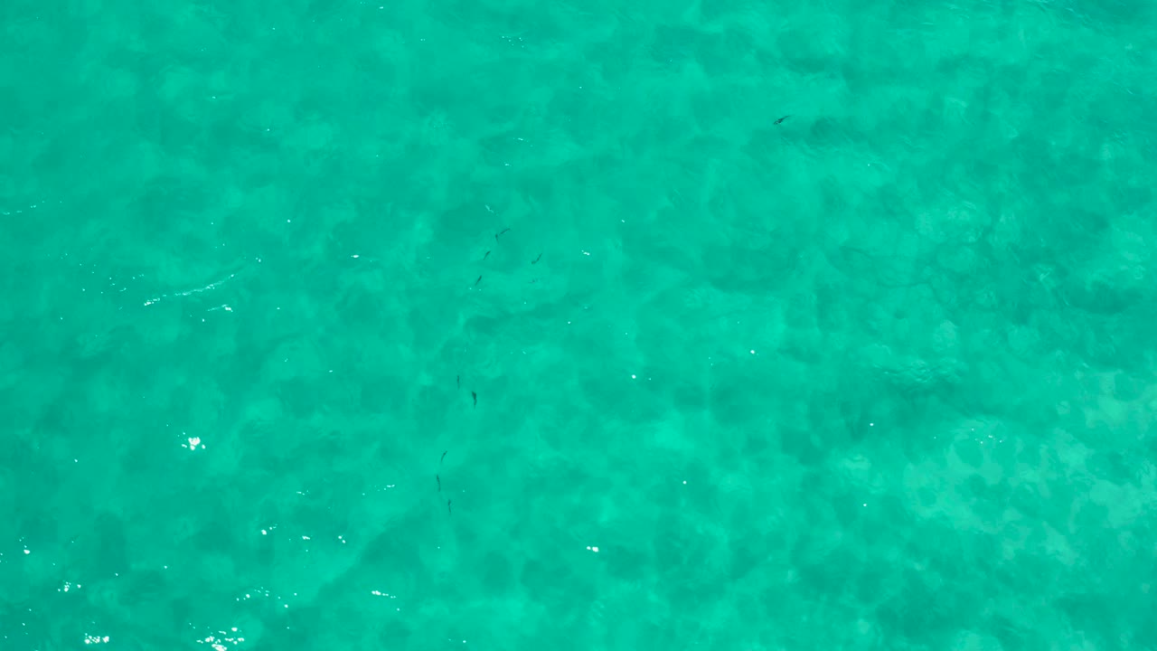 High overhead view of clear green ocean in Los Cabos, Mexico, showing soft darker patches beneath the surface and no visible people.