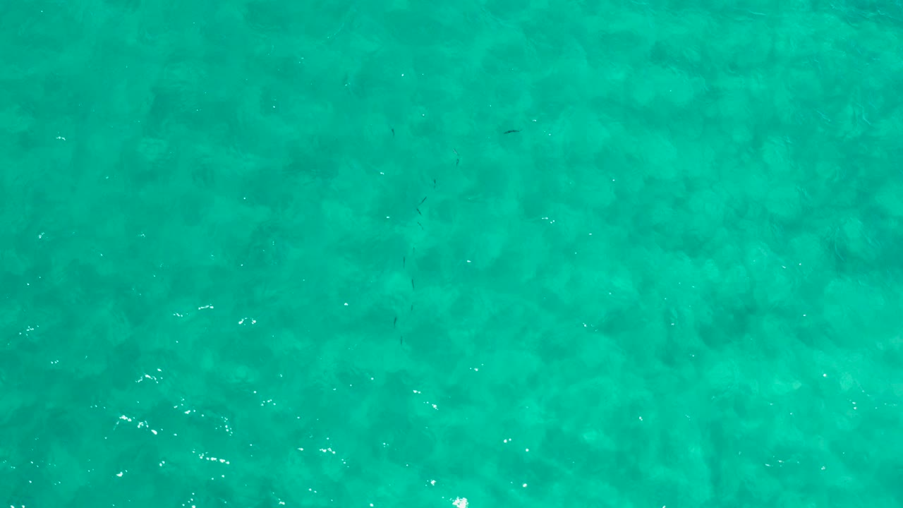 Overhead view of turquoise open water in Los Cabos, Mexico, with faint seabed texture, small surface highlights, and no readable human detail at the opening moment.