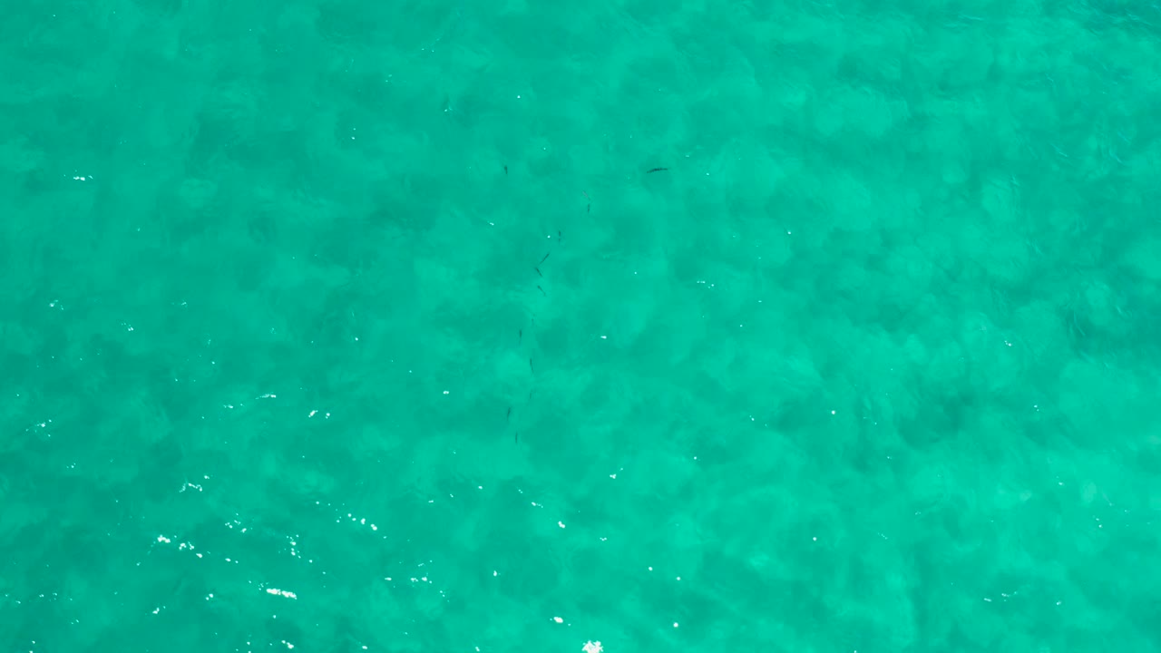 Aerial turquoise water with scattered white glints.