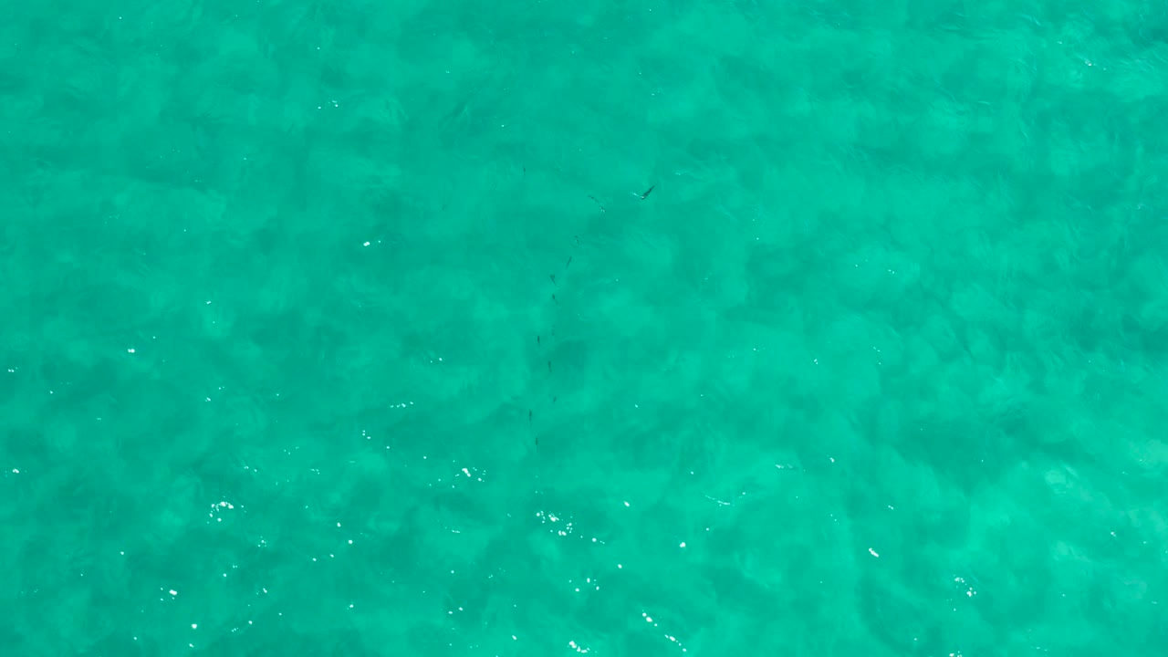 Direct overhead view of clear turquoise water in Los Cabos, Mexico, with faint darker patches below the surface and no visible shoreline or vessels.