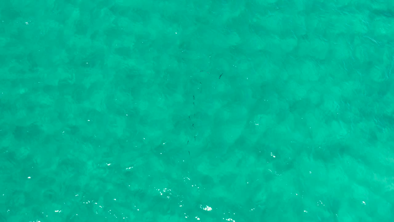 Open turquoise water with faint ripples and dark marks.