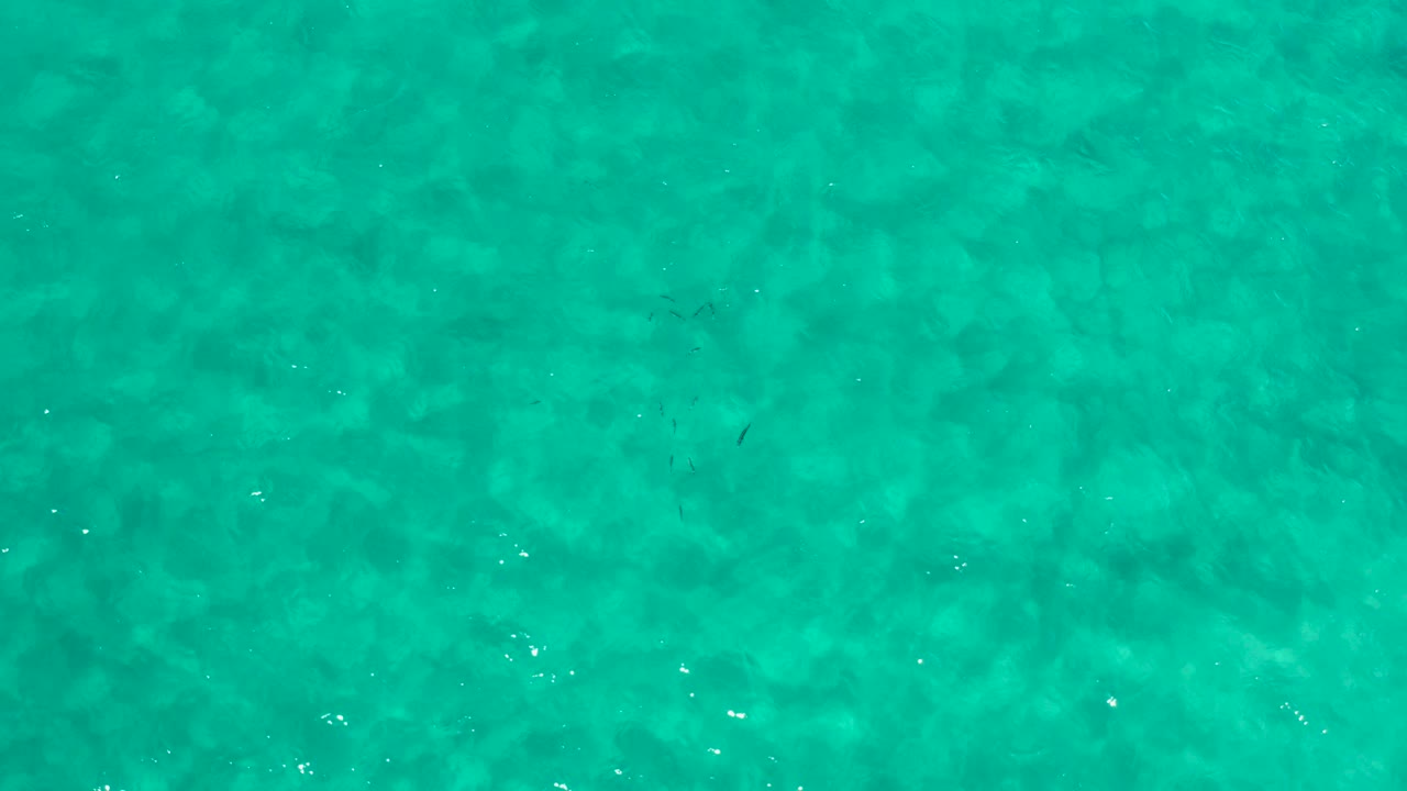 Overhead turquoise ocean water with faint ripples