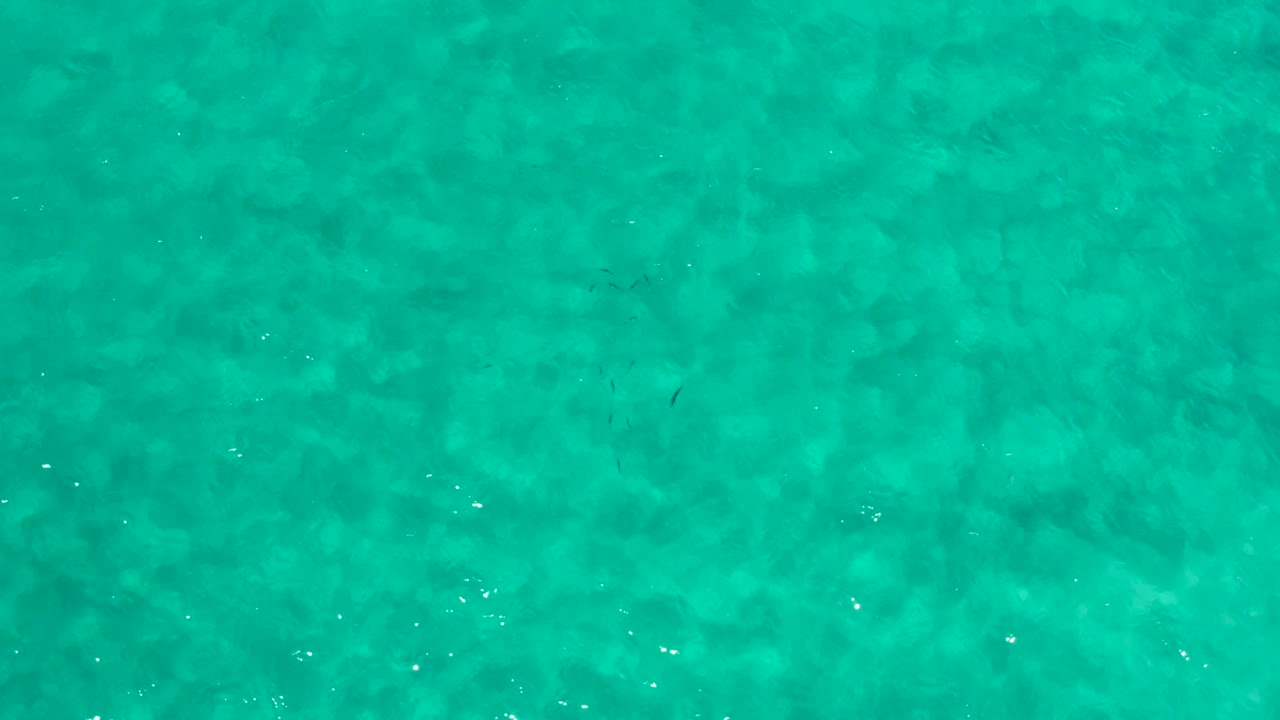 Clear blue-green water fills the frame in Los Cabos, Mexico, with scattered bright reflections and no visible people.