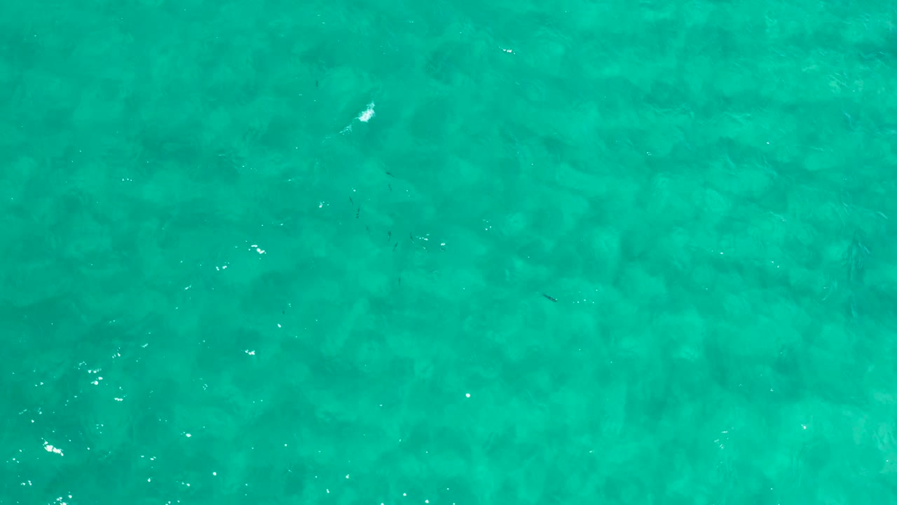 A top-down Los Cabos water frame with turquoise color, darker underwater shapes, and no visible people or vessels.