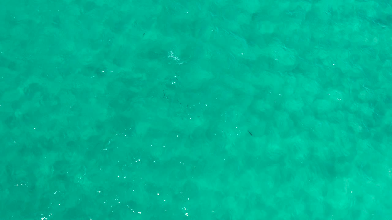 Green-blue ocean water fills the Los Cabos frame from edge to edge, with mild surface shimmer and no visible people.