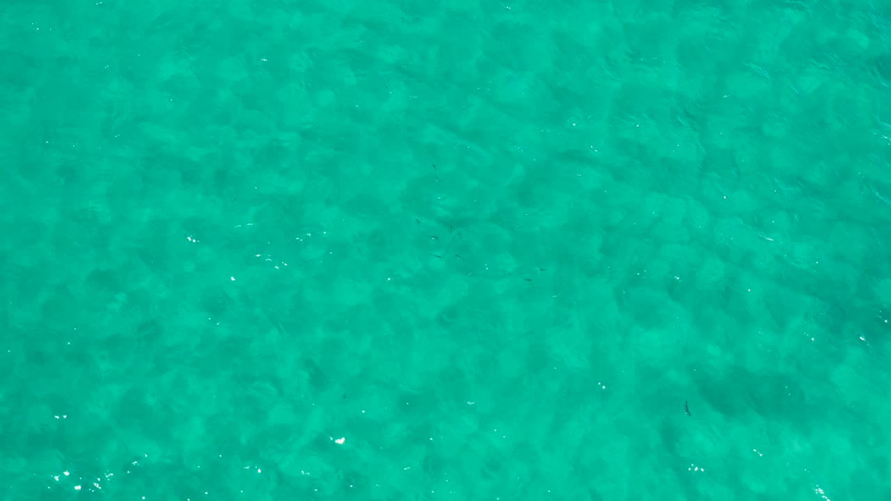 Clear blue-green water fills the frame in Los Cabos, with slightly shifted ripple highlights and no shoreline, vessels, or visible people.