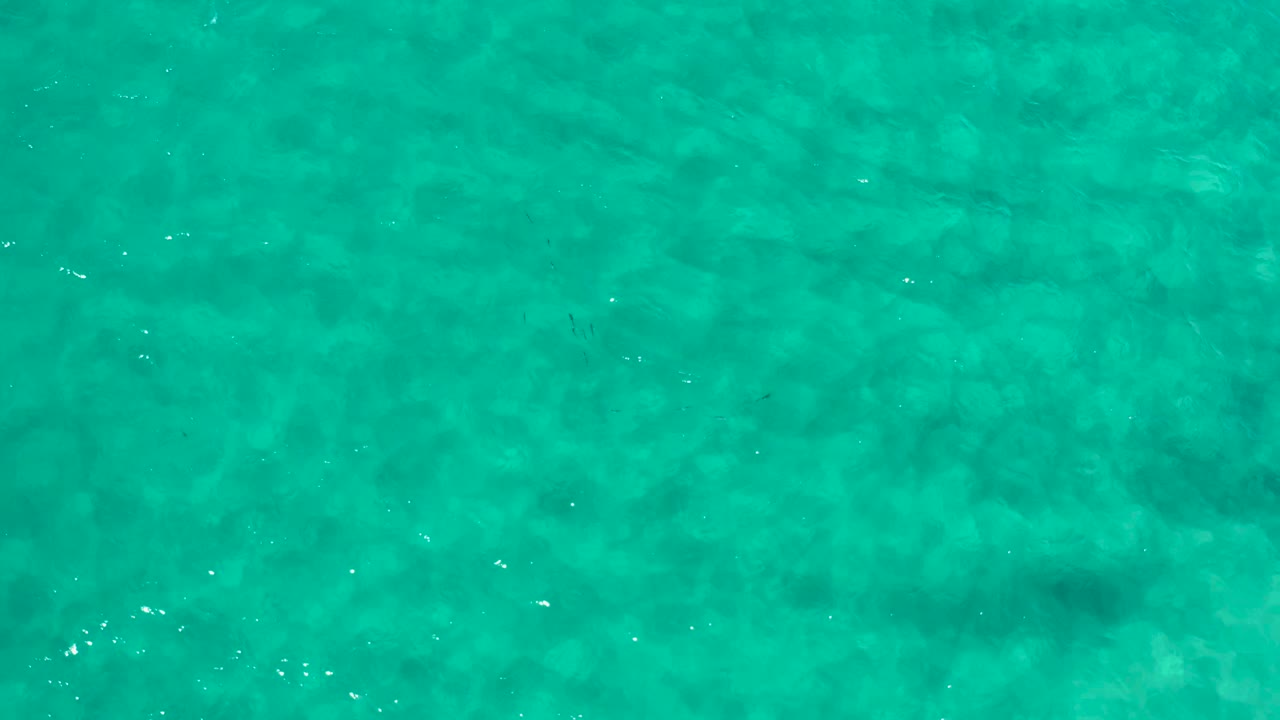 Blue green shallow water in Los Cabos, Mexico, showing small white sunlight highlights on the rippled surface and no visible people.