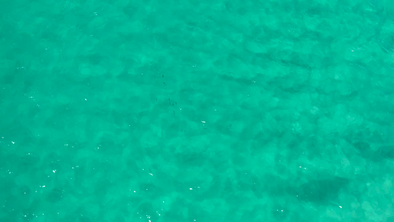 Clear turquoise ocean water in Los Cabos, Mexico, with darker submerged shapes visible beneath the surface and no visible people.